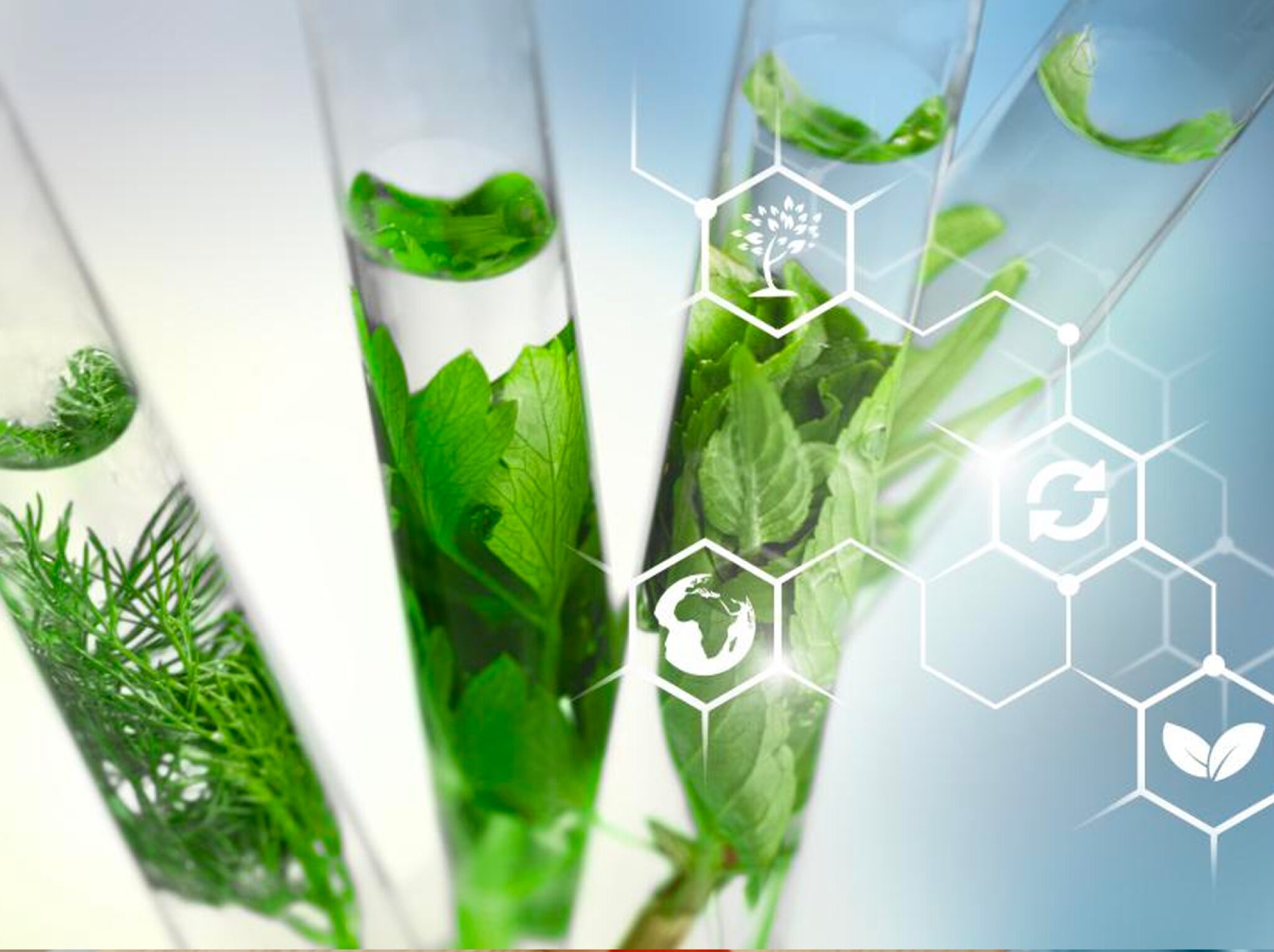 corso33
